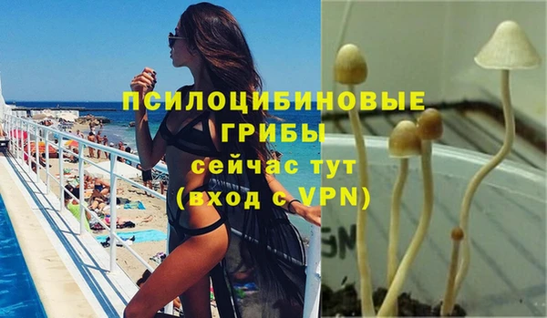 jwh Гусиноозёрск