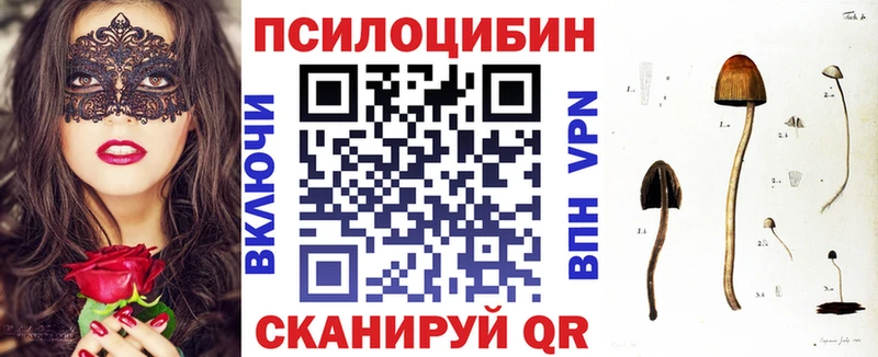 Псилоцибиновые грибы мицелий  наркотики  Кировск 