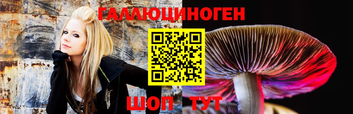 Галлюциногенные грибы MAGIC MUSHROOMS Кировск