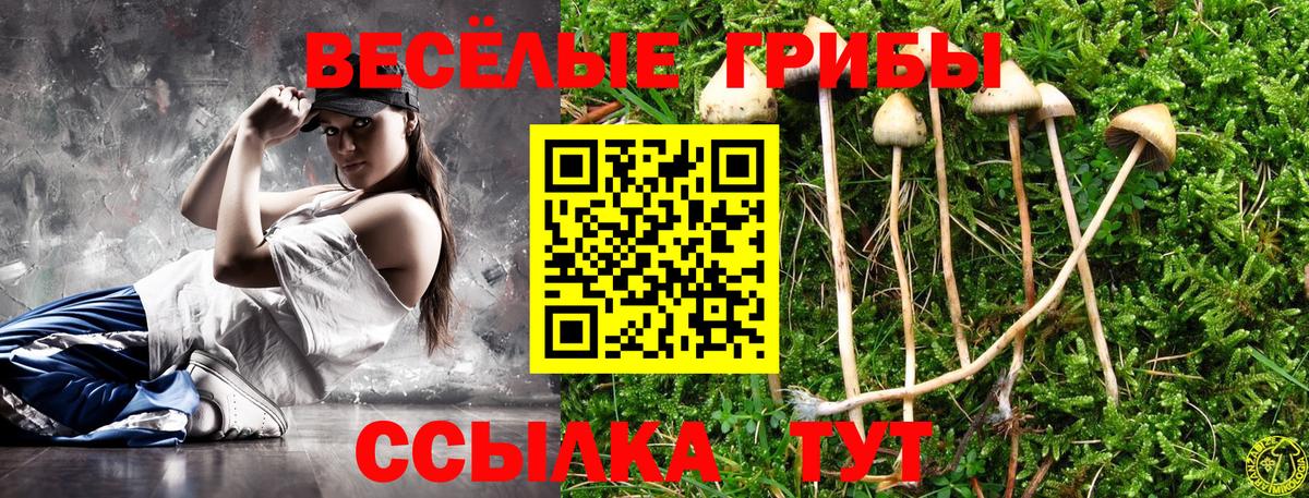Кировск  Галлюциногенные грибы Psilocybe  Вход с VPN  Псилоцибиновые грибы прущие грибы 